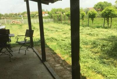 Casă cu 3 camere cu Teren 1748 Mp în Checea - 7