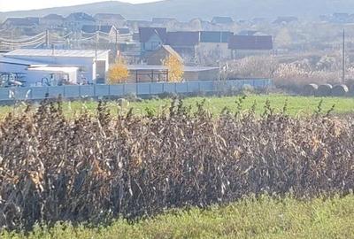 Teren de 1630 mp, în Luizi-Călugăra - 2