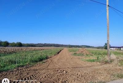 Teren de 500 mp, în Siliștea Snagovului - 2