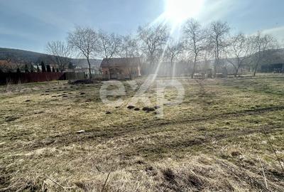 Teren Construcții intravilan de 3000 mp, în Vâlcele - 4