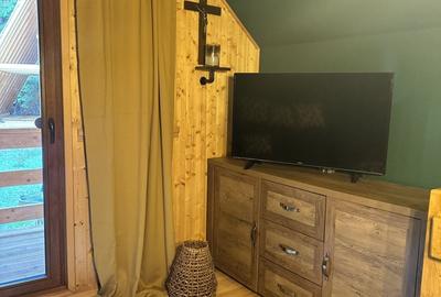 Spațiu comercial, de 160 mp, în Rucăr - 15