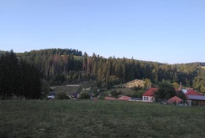 Teren de 1000 mp, în Holbav