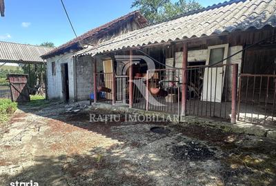 Casă cu 2 camere cu Teren 4029 Mp în Sânmartin - 11