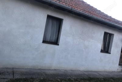 Casă cu 6 camere în Macea - 10