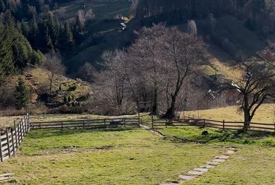 Casă cu 2 camere cu Teren 400 Mp în Dâmbovicioara - 11