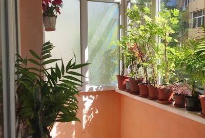 Apartament cu 2 camere semidecomandat în Brazda lui Novac - 2