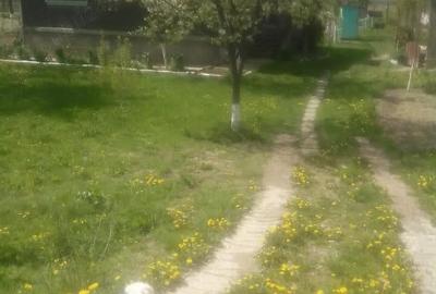 Casă cu 3 camere în Criș - 1