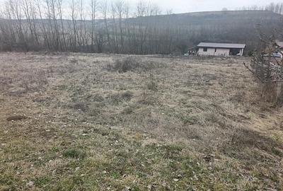 Teren de 675 mp, în Central