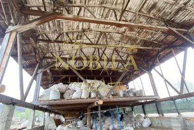 Spațiu comercial, în Agăș - 3