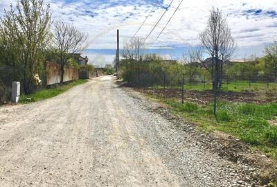 Teren de 854 mp, în Mogoșoaia - 3