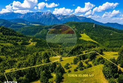 Teren de 33319 mp, în Piața