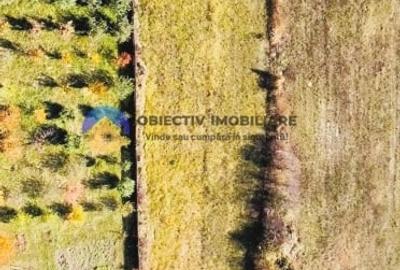 Teren agricol intravilan de 2200 mp, în Gârcina - 5