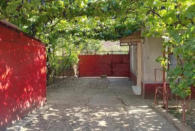Casă cu Teren 1055 Mp în Central - 6