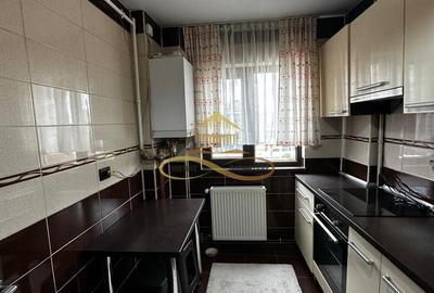 Apartament cu 2 camere decomandat în 9 Mai - 4
