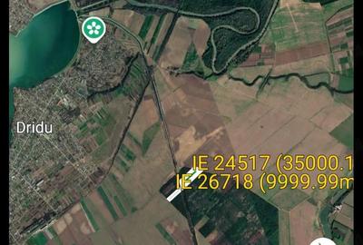 Teren de 45000 mp, în Dridu