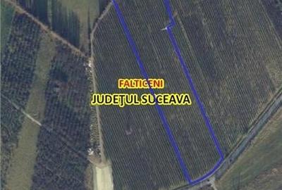Teren Construcții intravilan de 33800 mp, în Fălticeni - 1