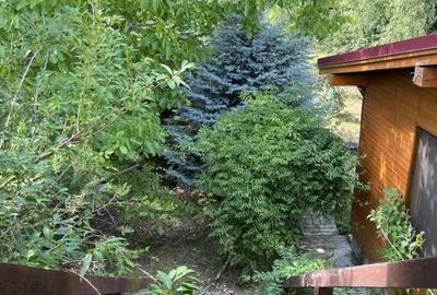 Casă individuală cu 3 camere cu Piscina în Crevedia - 28