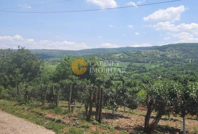 Casă individuală cu 5 camere cu Canalizare în Hilița - 4