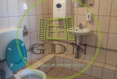 Spațiu comercial, de 450 mp, în Terezian - 19