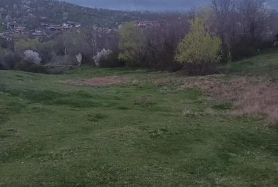 Teren de 2600 mp, în Izvoarele - 4