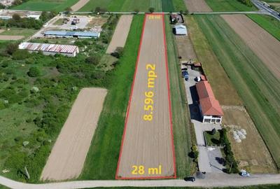 Teren de 8596 mp, în Lugojel - 3