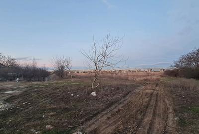 Teren de 1000 mp, în Manolache - 2
