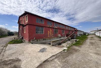 Spațiu comercial, de 600 mp, în Dumbrăveni - 6