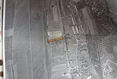 Teren Construcții intravilan de 2000 mp, în Reghin - 1