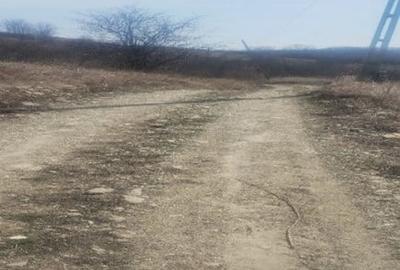 Teren de 5000 mp, în Brăești