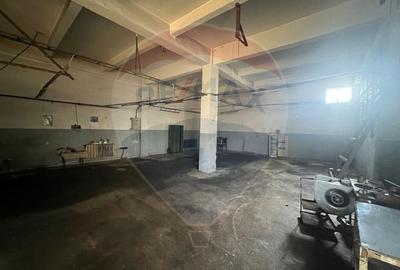 Spațiu industrial, de 300 mp, în Nord-Vest - 12