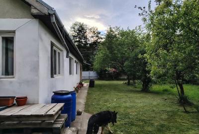 Casă cu 2 camere cu Teren 2500 Mp în Peșteana