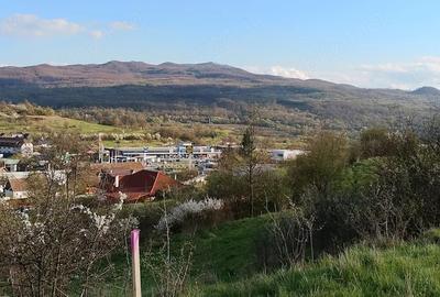 Teren de 2687 mp, în Central - 5