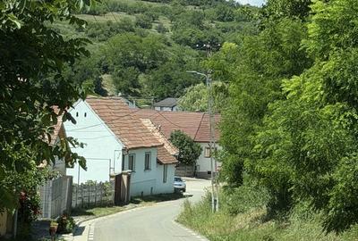 Casă cu 2 camere în Presaca