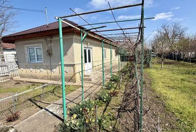 Casă cu 4 camere cu Teren 1613 Mp în Dor Mărunt