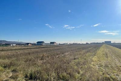 Teren agricol extravilan de 5000 mp, în Calea București - 3