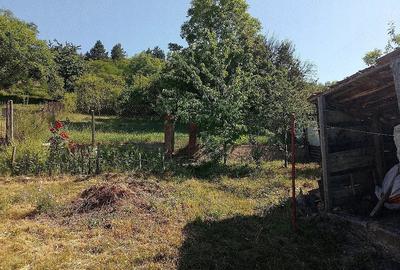 Casă cu 2 camere cu Teren 820 Mp în Suceagu