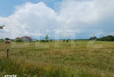 Teren de 544 mp, în Telești - 1