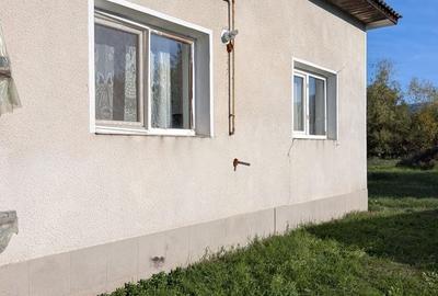 Casă cu 2 camere în Cernești