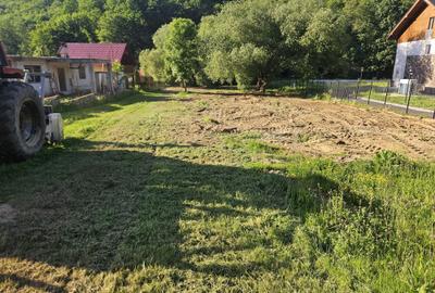 Teren de 1030 mp, în Pădurea Neagră