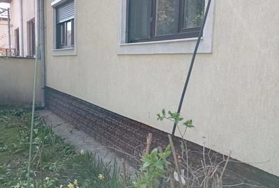 Casă cu Teren 250 Mp în Gojdu - 12