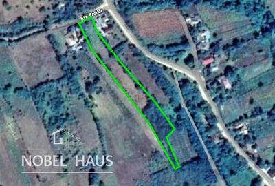 Teren Construcții intravilan de 6200 mp, în Bogești - 7