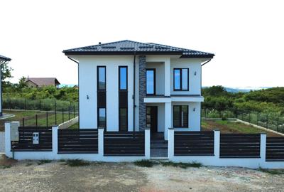 Casă cu 4 camere în Vișan - 2