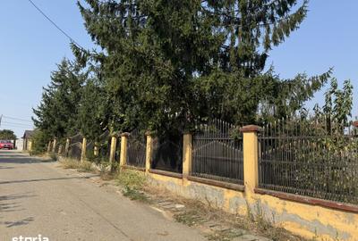 Casă cu 5 camere cu Teren 1088 Mp în Vânătorii Mici