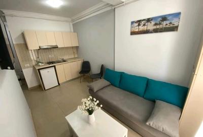 Apartament cu 2 camere decomandat în Central - 2