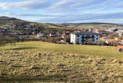Teren de 16663 mp, în Central - 8