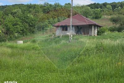 Casă cu 3 camere cu Teren 4234 Mp în Adămuș