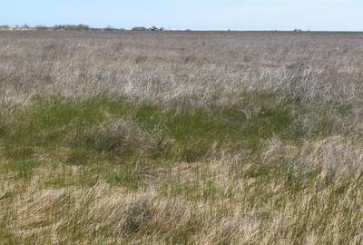 Teren agricol extravilan de 10000 mp, în Vadu - 3