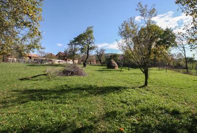 Teren agricol intravilan de 3852 mp, în Poiana - 6