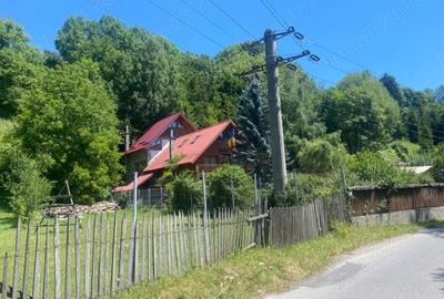 Teren de 2361 mp, în Valea Doftanei - 3