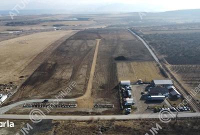 Teren de 132903 mp, în Central